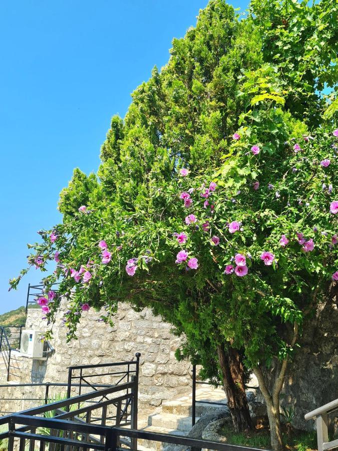 Villa Nera Budva Eksteriør billede
