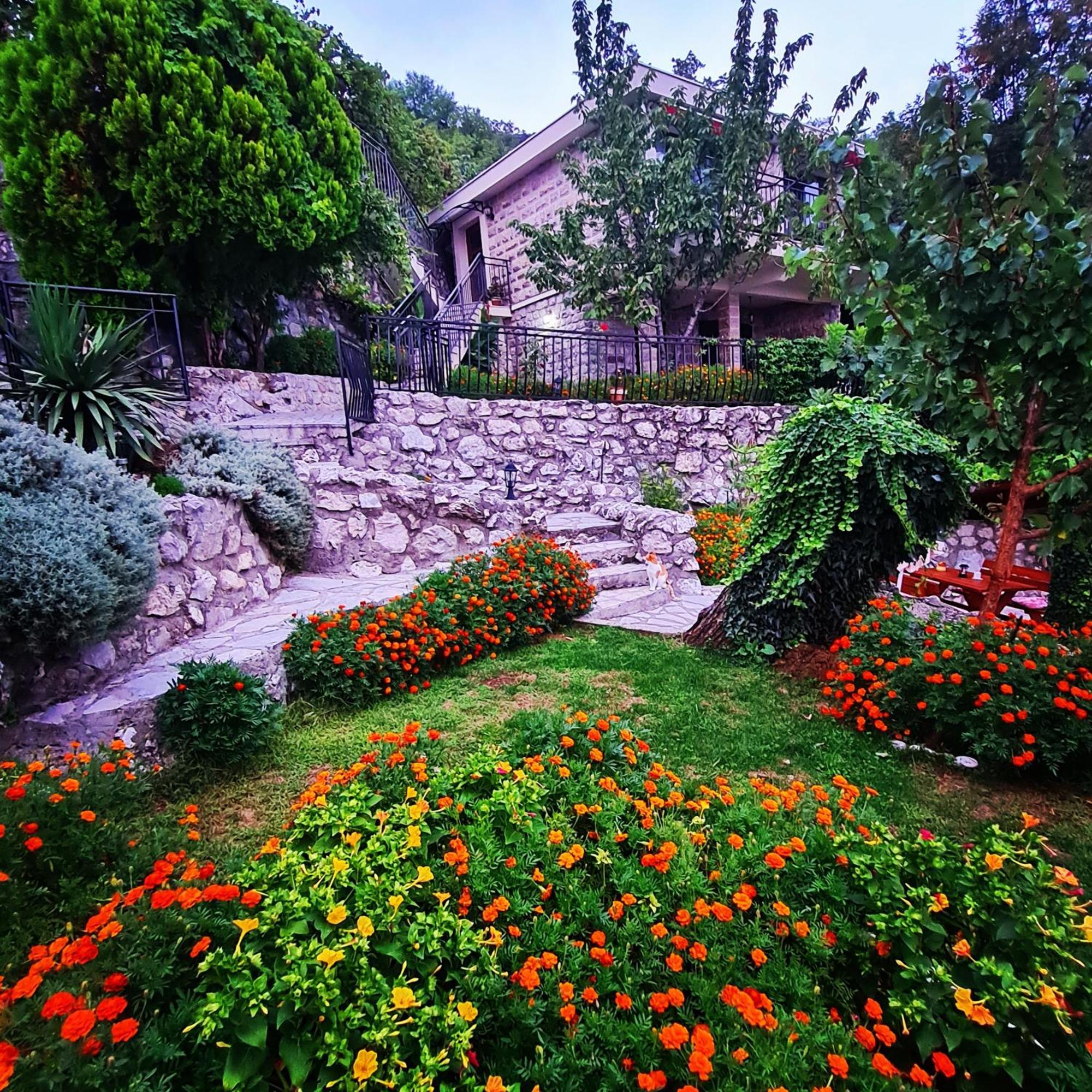 Villa Nera Budva Eksteriør billede